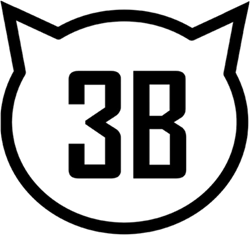 3B Print